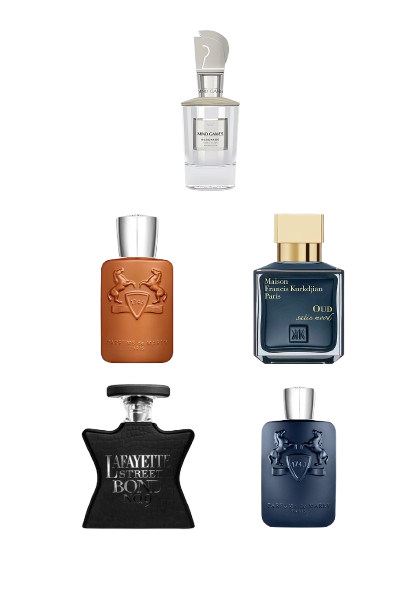 Niche Luxury Collection