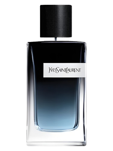 YSL - Y